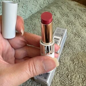 New Beautycounter Sheer Genius Lipstick in Rose